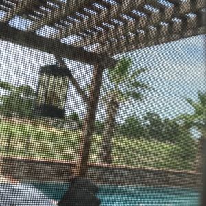 Meet your Posher, Janie